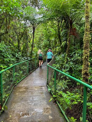 La Fortuna - Tenorio Volcano National Park